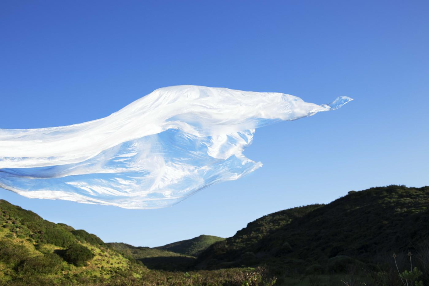 Foto: Tamira Boogaard