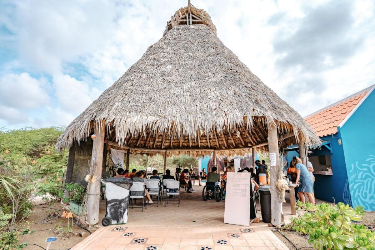 photo: Kenny Ranking