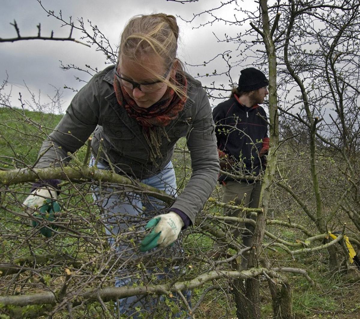 foto: Valentijn te Plate voor Vereniging Nederlands Cultuurlandschap