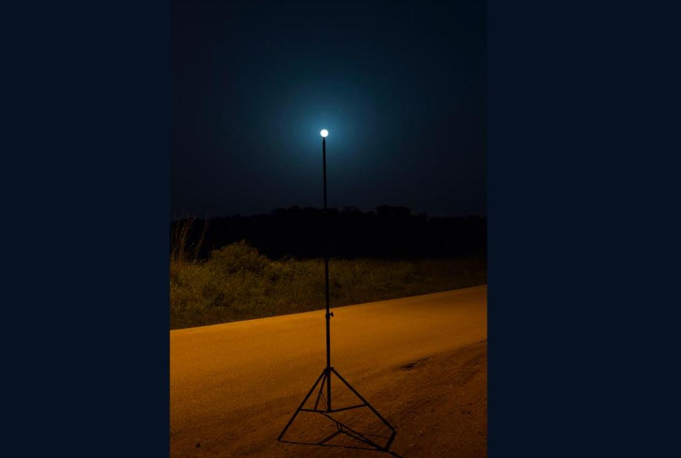 Foto: Tamira Boogaard