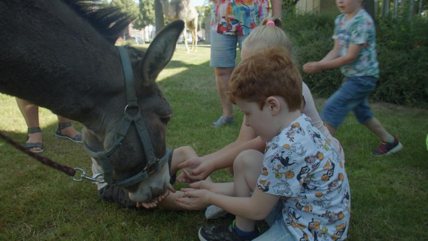 Samenwerken voor cultuureducatie